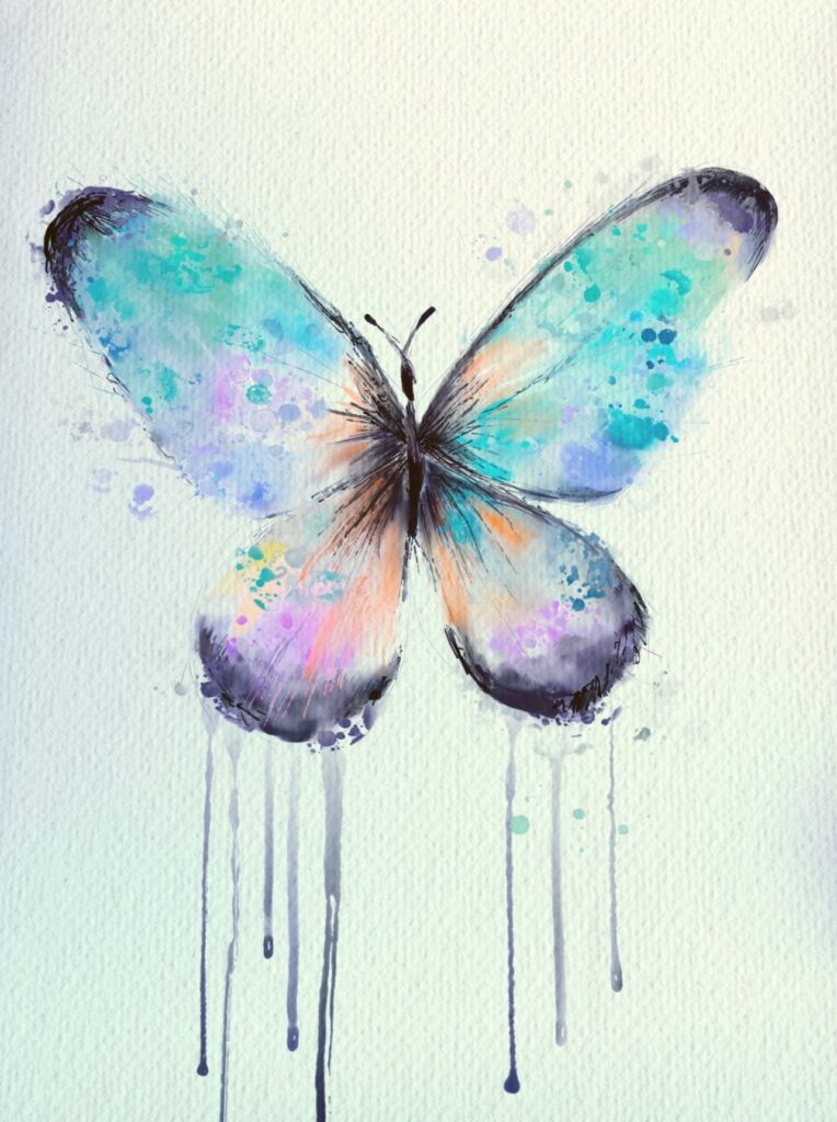 butterfly