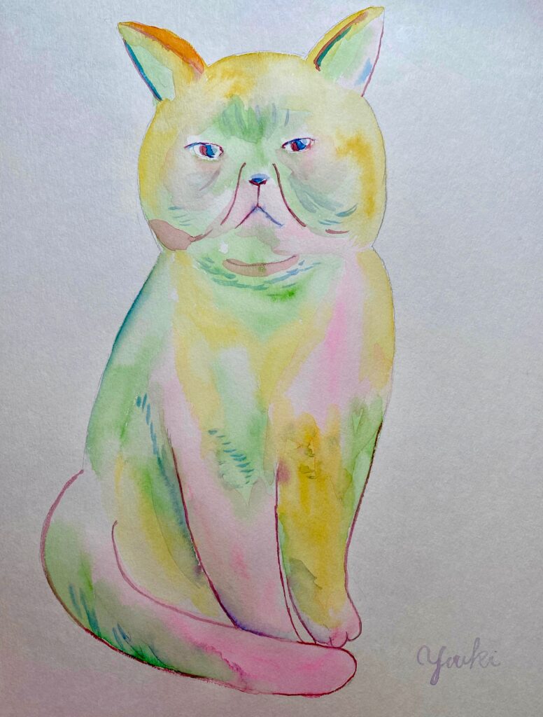 colorful cat